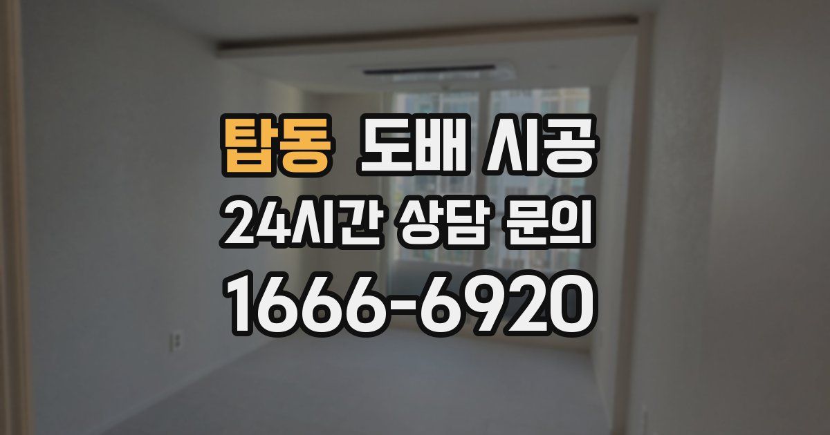 탑동 도배 시공