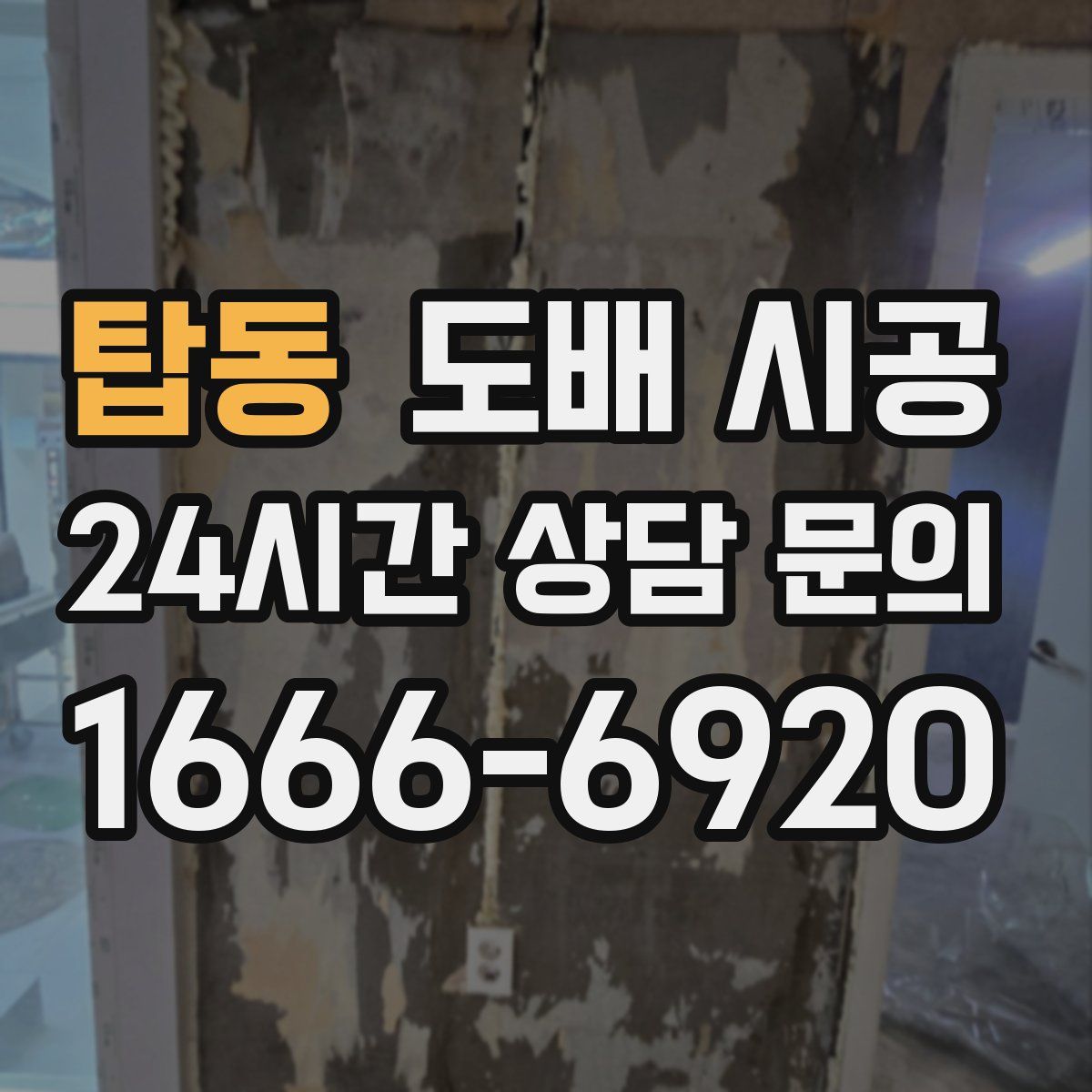 탑동 도배 시공