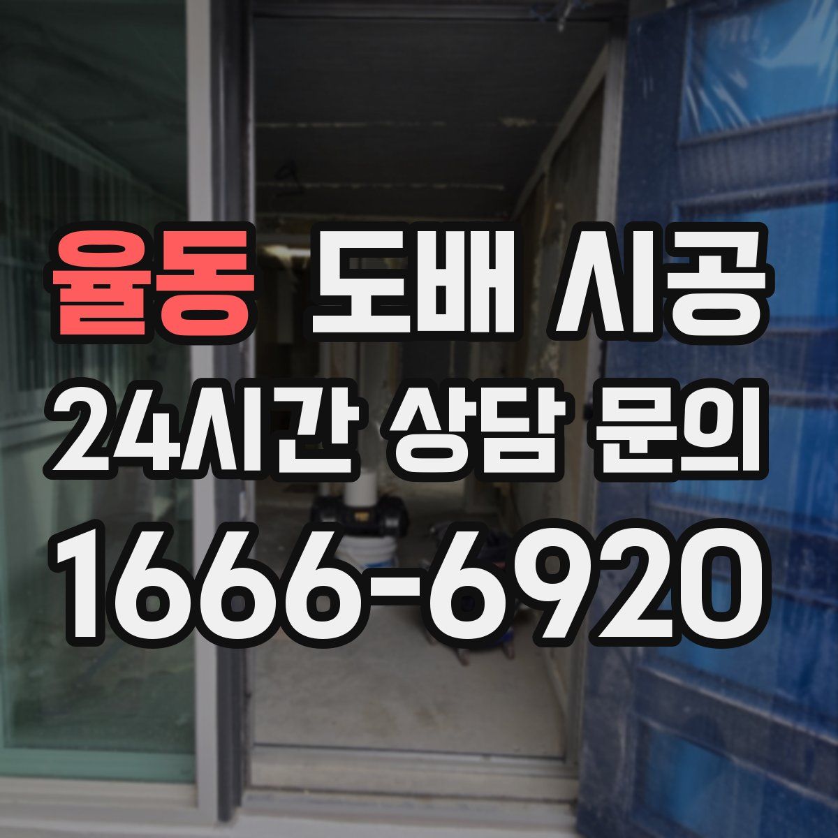 율동 도배 시공