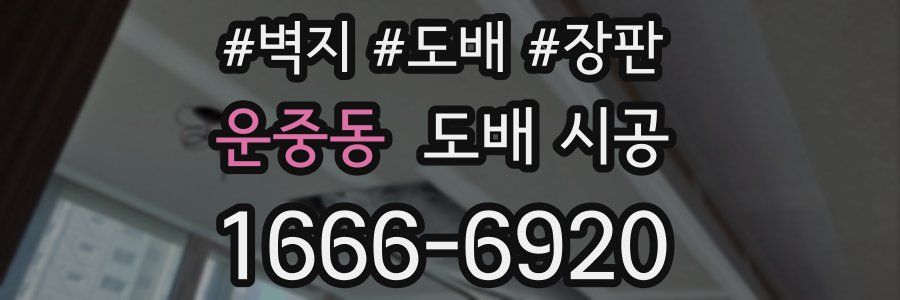 운중동 도배 시공
