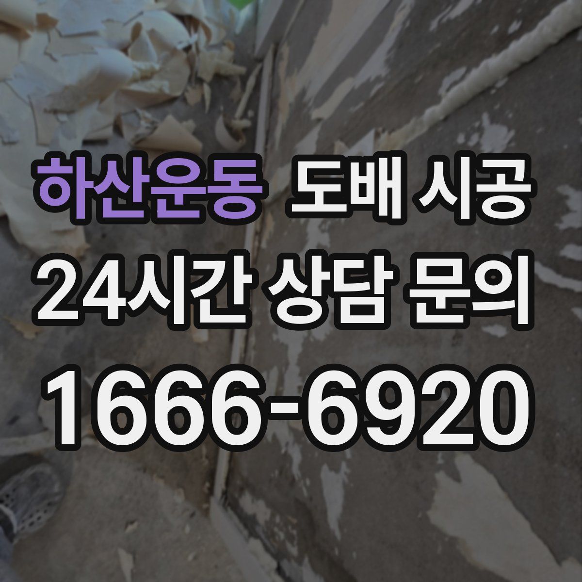 하산운동 도배 시공