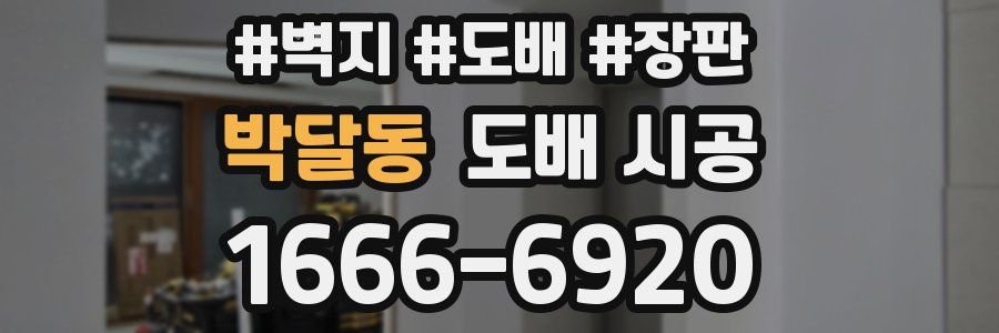 박달동 도배 시공