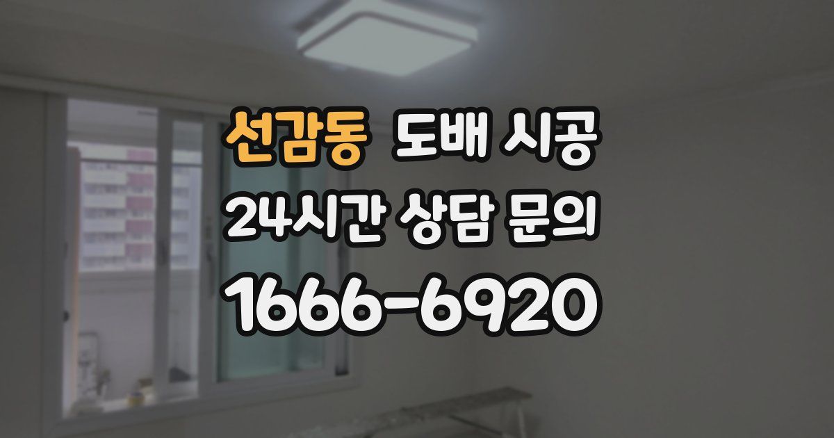 선감동 도배 시공