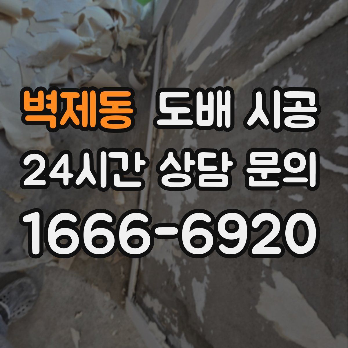 벽제동 도배 시공