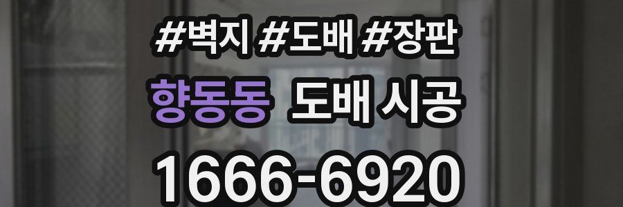 향동동 도배 시공