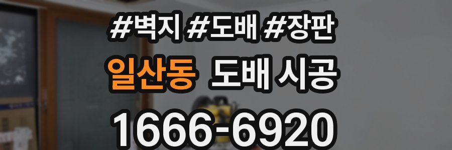 일산동 도배 시공