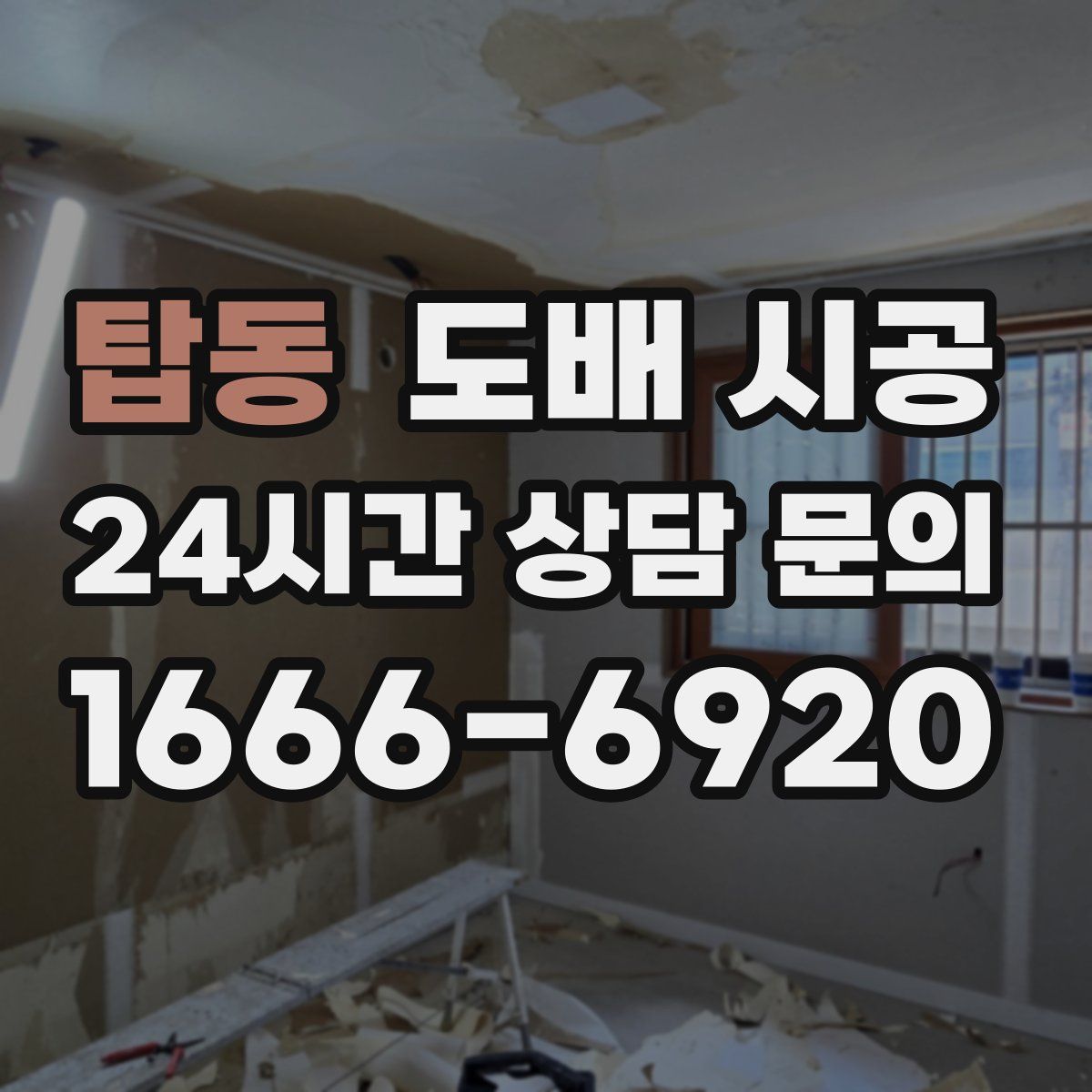 탑동 도배 시공