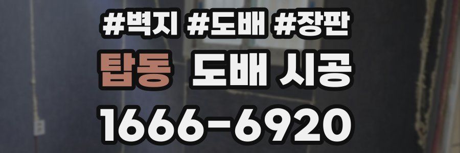 탑동 도배 시공