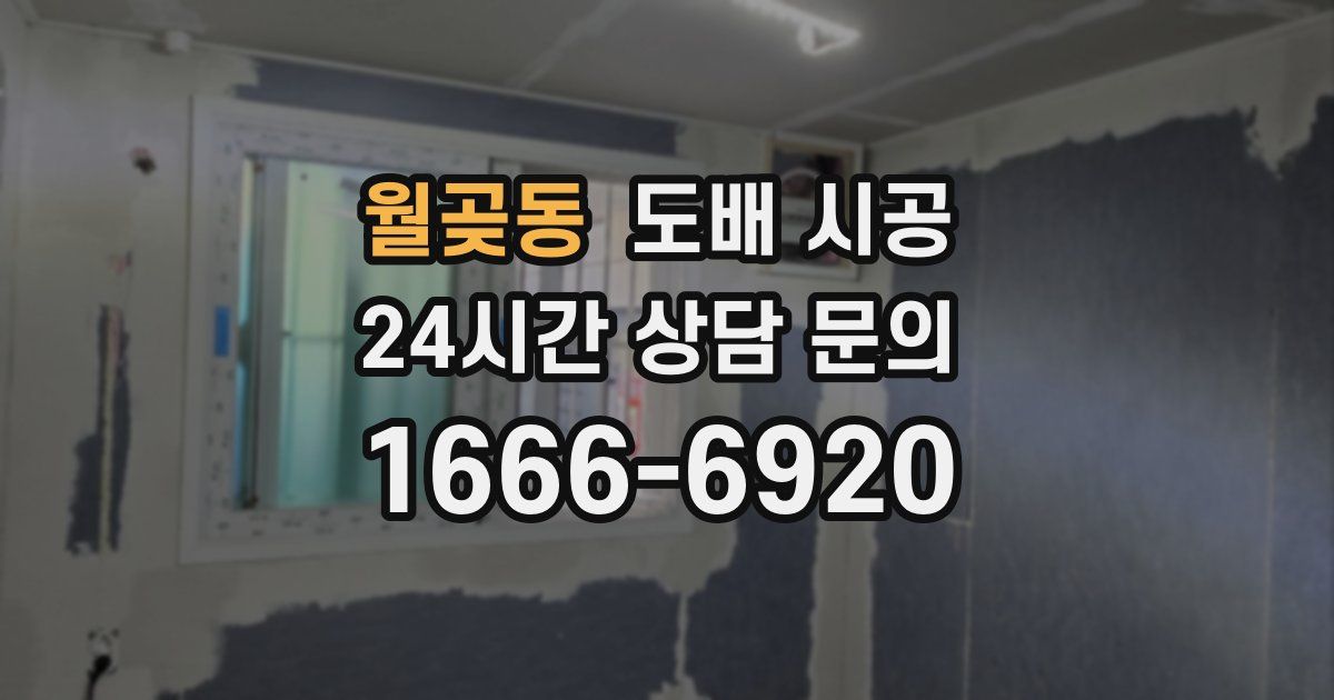월곶동 도배 시공