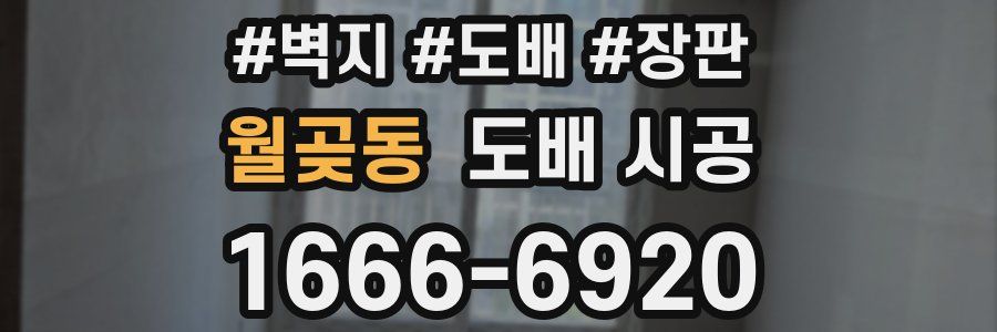 월곶동 도배 시공