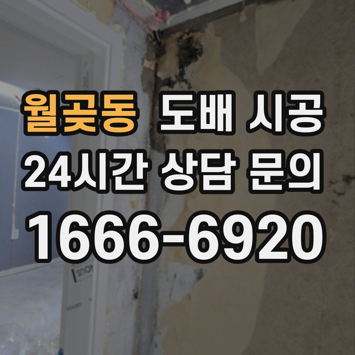 월곶동 도배 시공