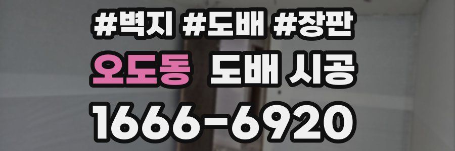 오도동 도배 시공