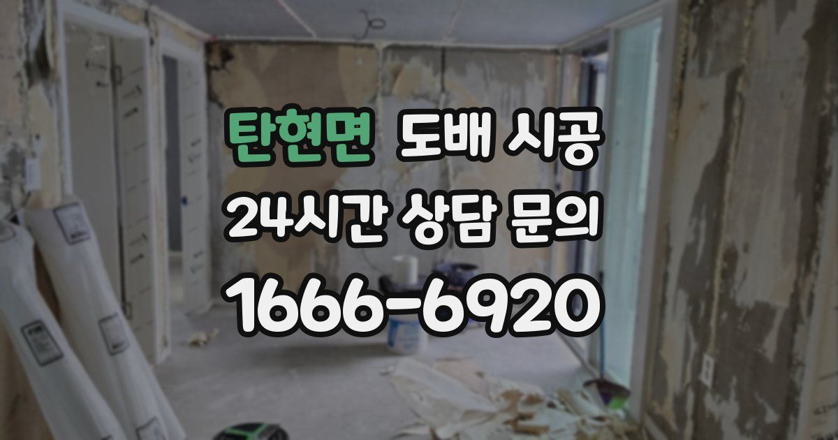 탄현면 도배 시공