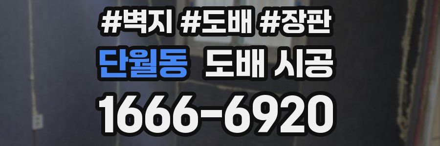 단월동 도배 시공