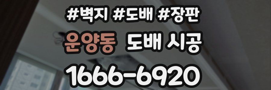 운양동 도배 시공