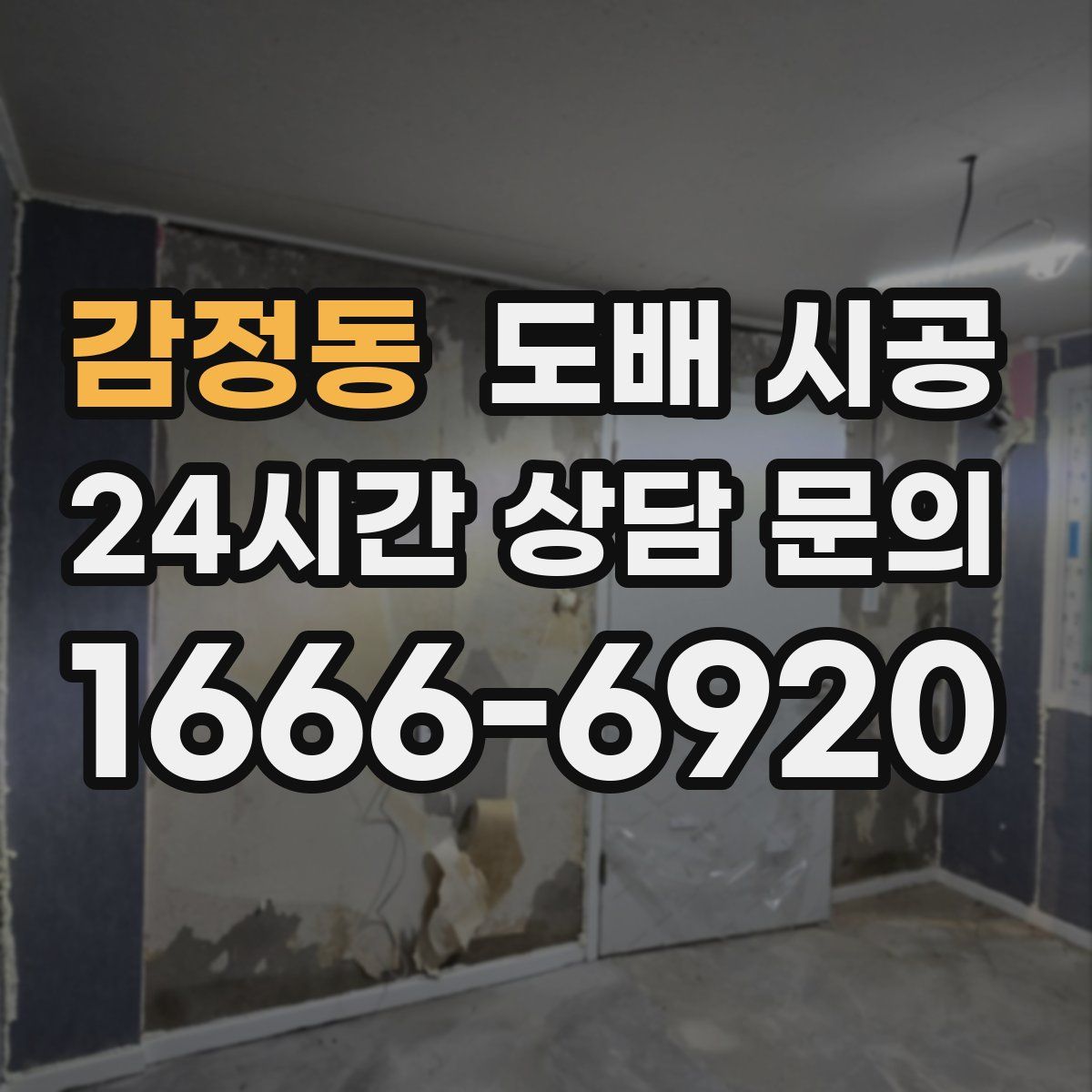감정동 도배 시공