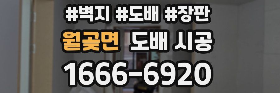 월곶면 도배 시공