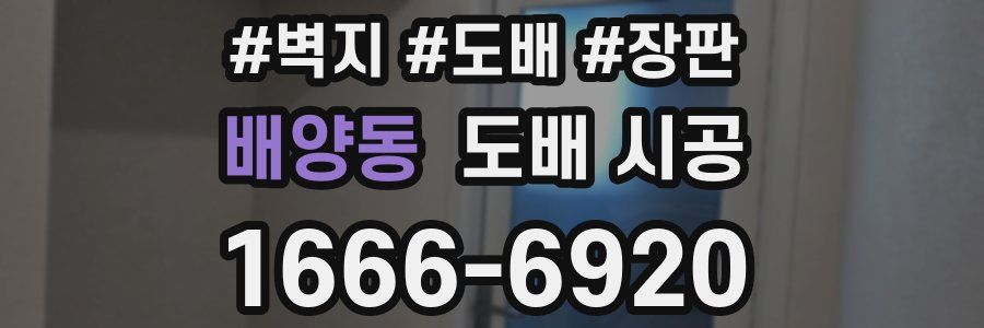 배양동 도배 시공