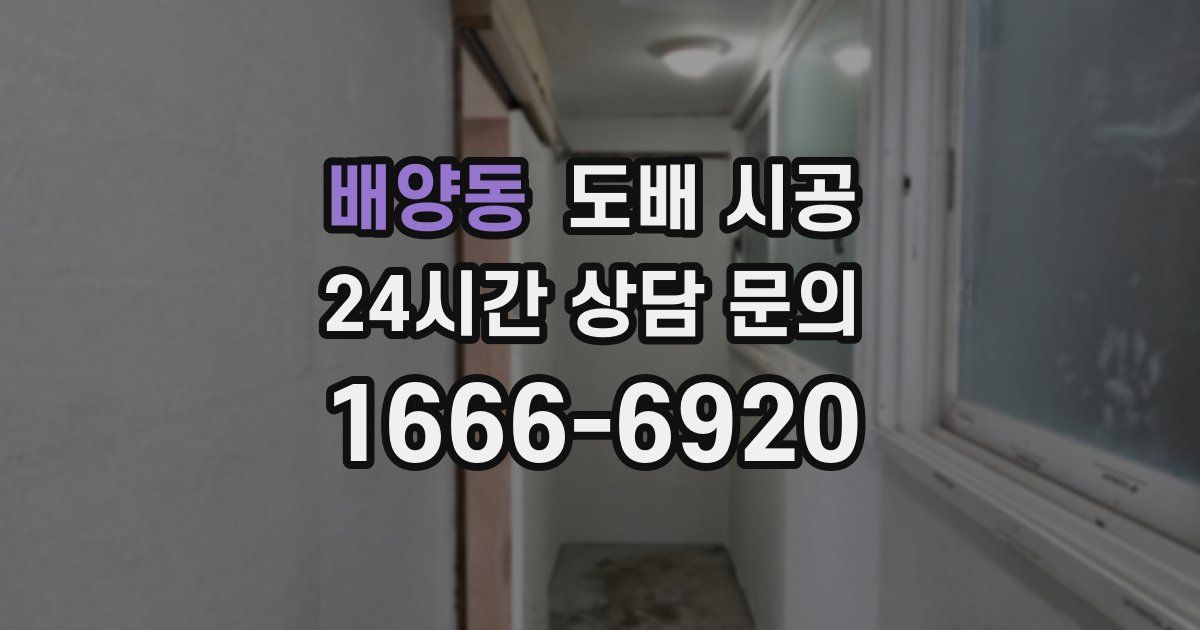 배양동 도배 시공