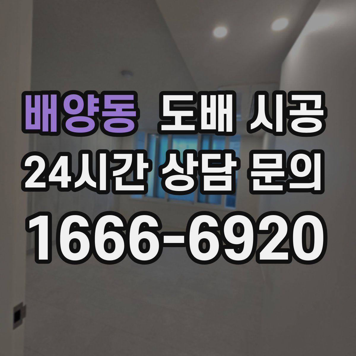 배양동 도배 시공