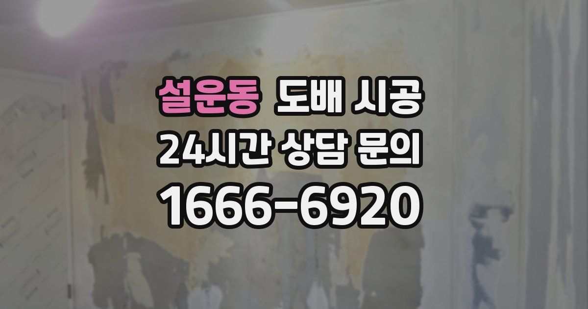 설운동 도배 시공