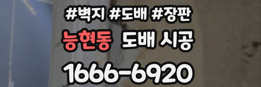 능현동 도배 시공
