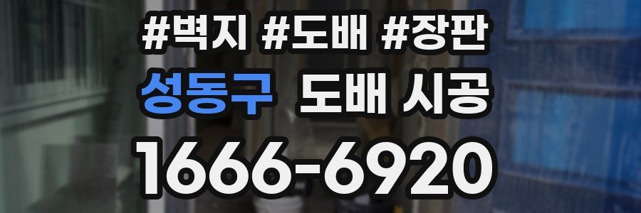 성동구 도배 시공