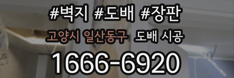고양시 일산동구 도배 시공