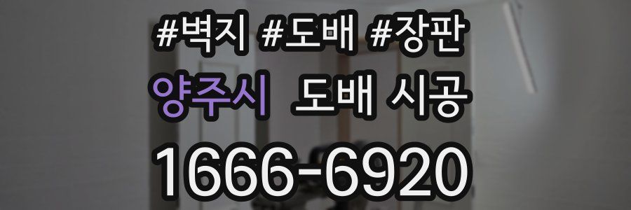 양주시 도배 시공