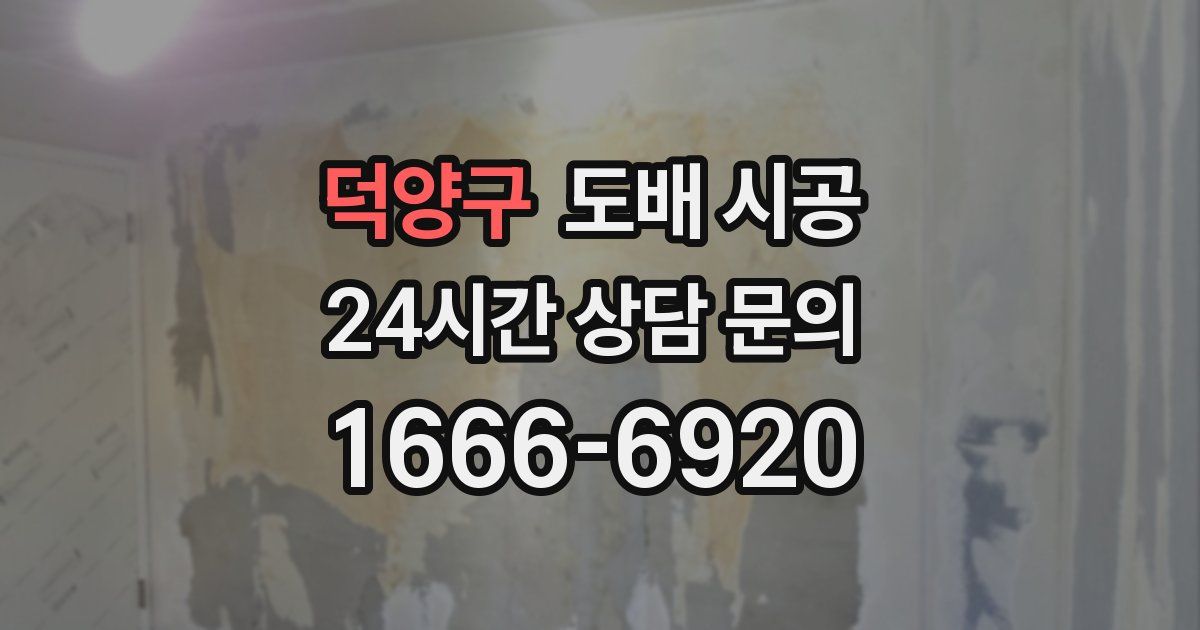 덕양구 도배 시공