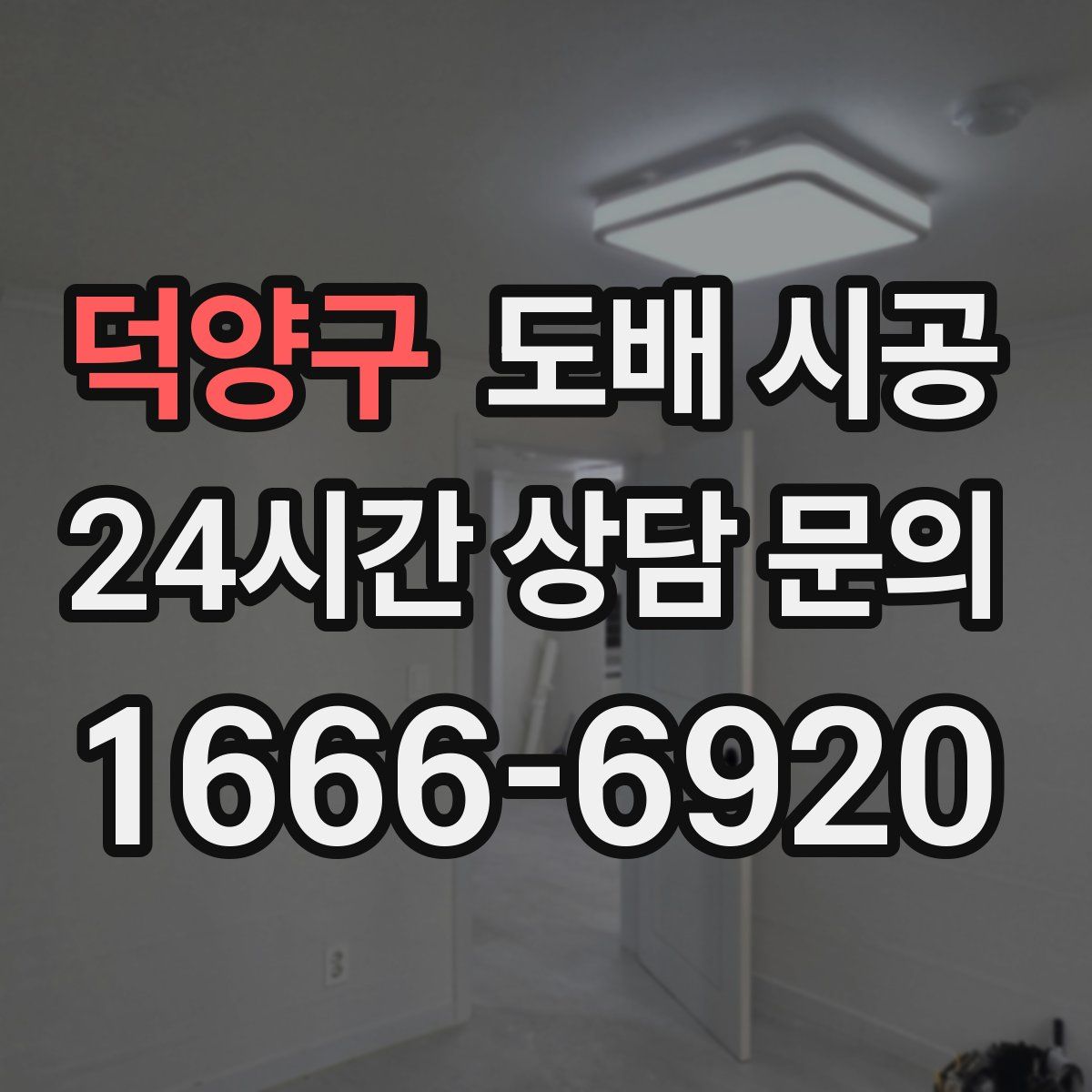 덕양구 도배 시공