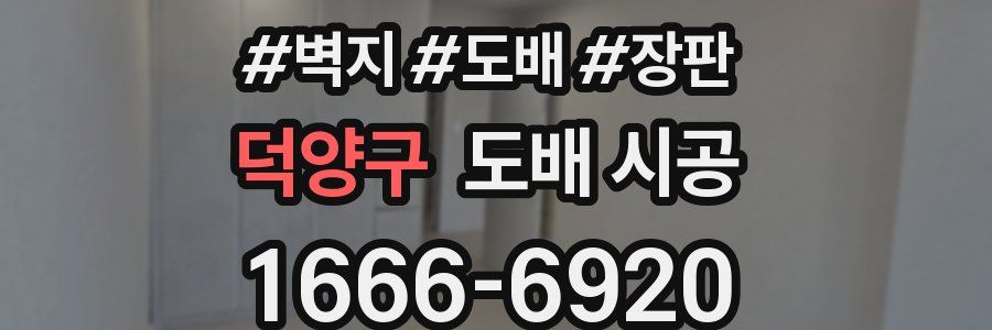 덕양구 도배 시공