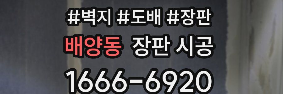 배양동 장판 시공
