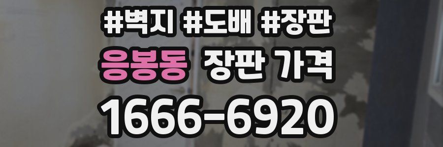 응봉동 장판 가격