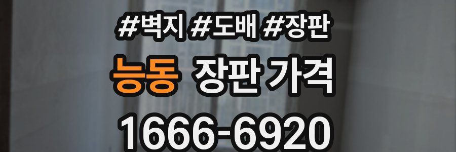 능동 장판 가격