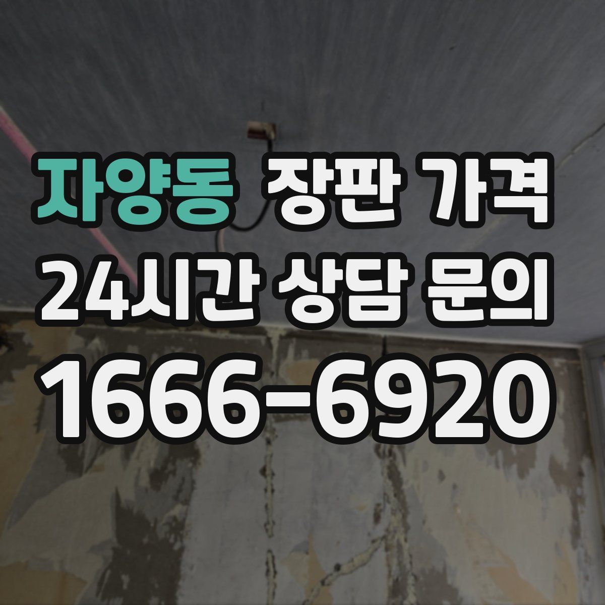 자양동 장판 가격