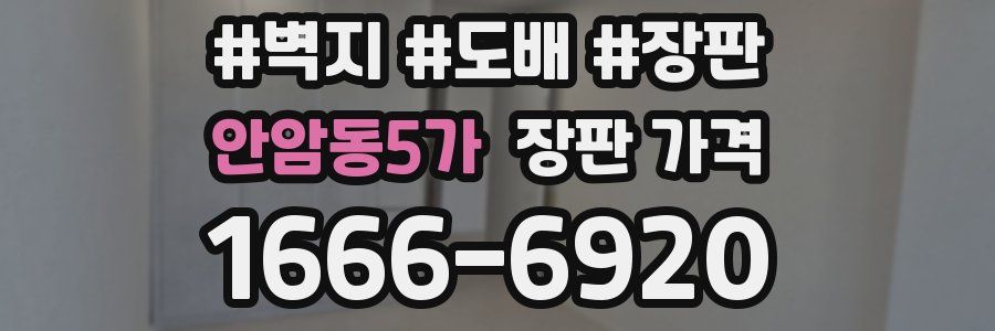 안암동5가 장판 가격