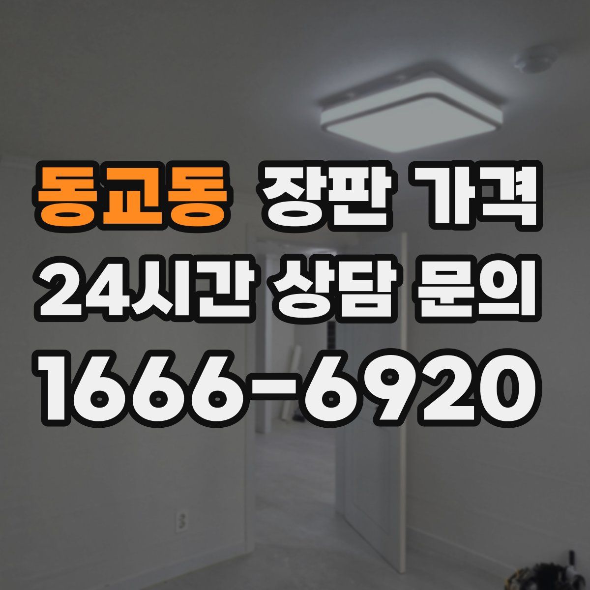 동교동 장판 가격