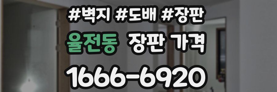 율전동 장판 가격