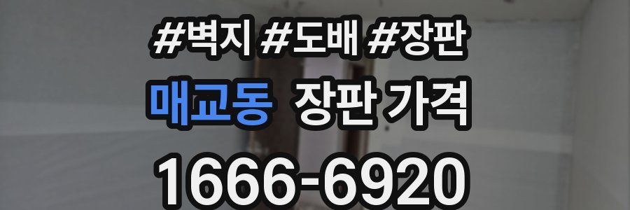 매교동 장판 가격