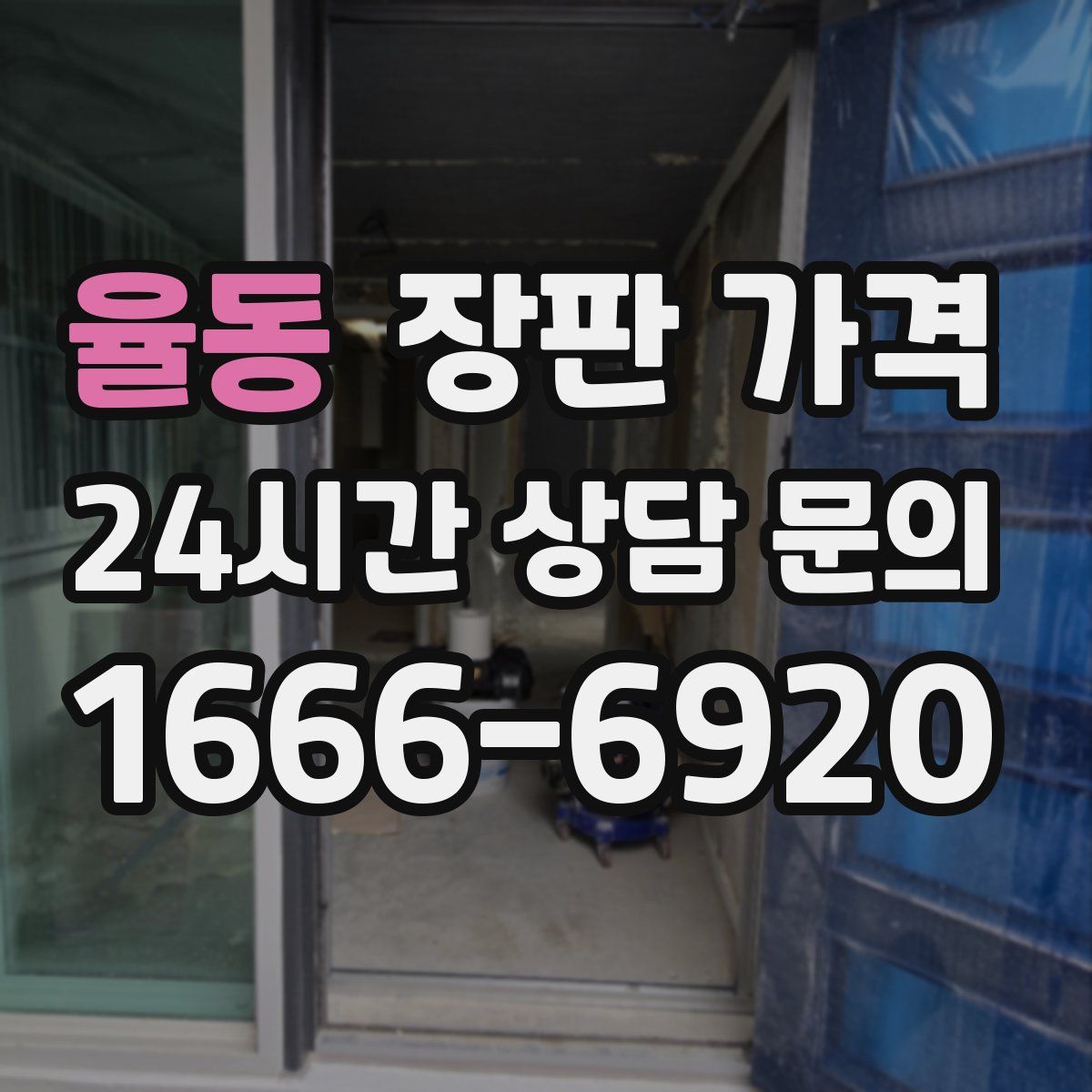 율동 장판 가격