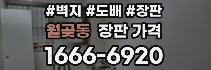 월곶동 장판 가격