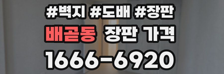 배곧동 장판 가격