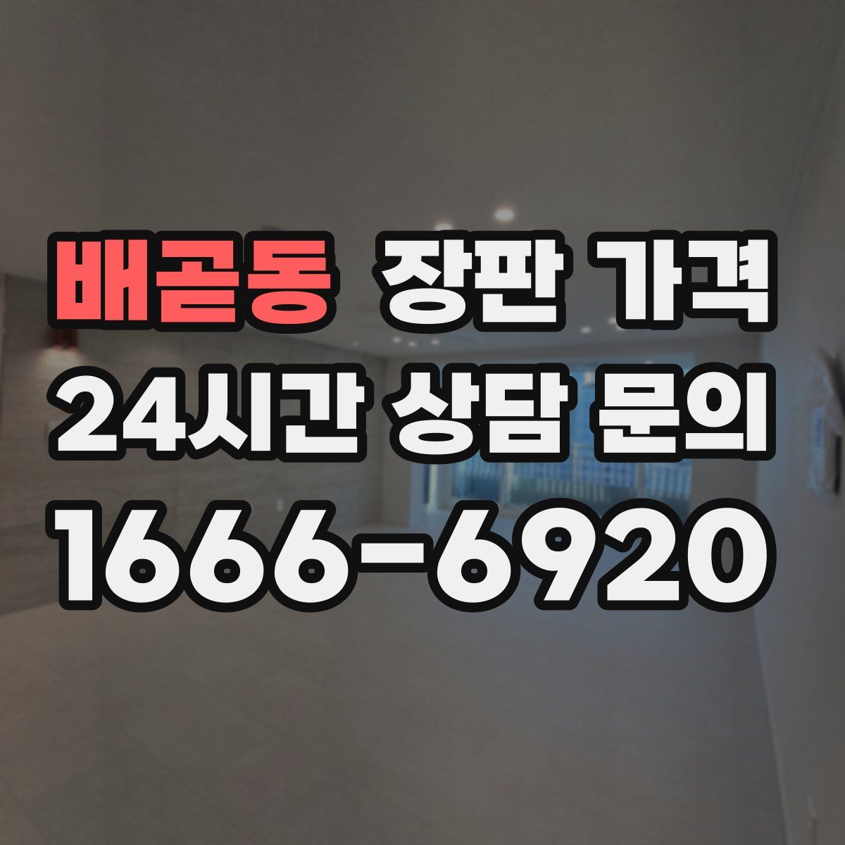 배곧동 장판 가격