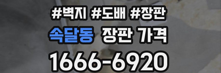 속달동 장판 가격