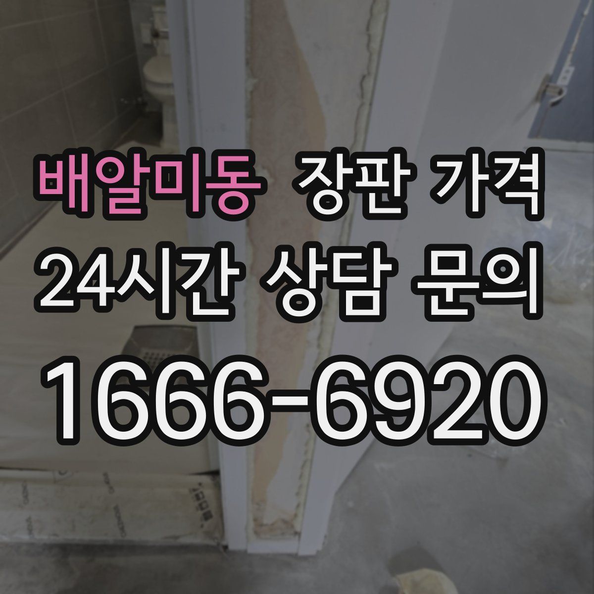 배알미동 장판 가격