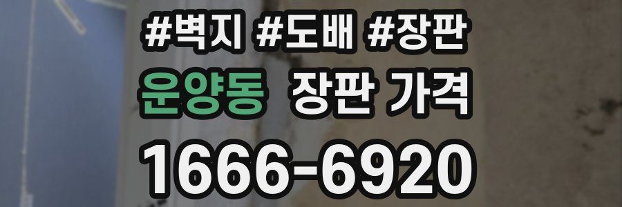 운양동 장판 가격