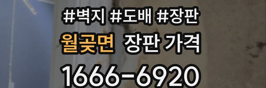 월곶면 장판 가격