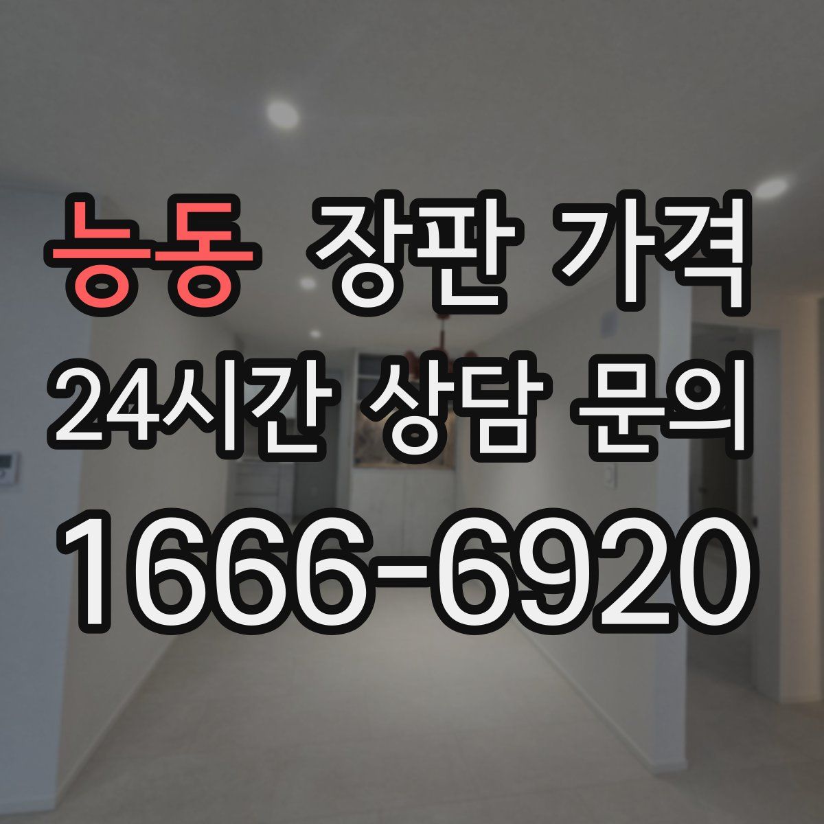 능동 장판 가격
