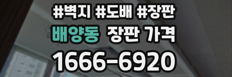 배양동 장판 가격